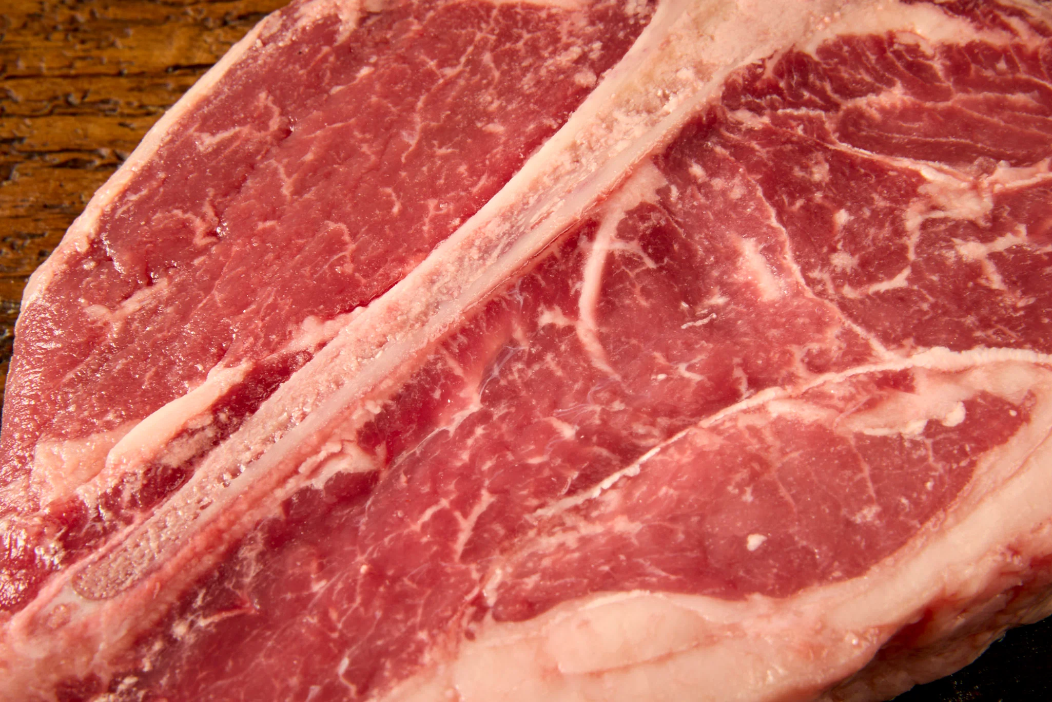 T-Bone Portugal Angus - Image 3